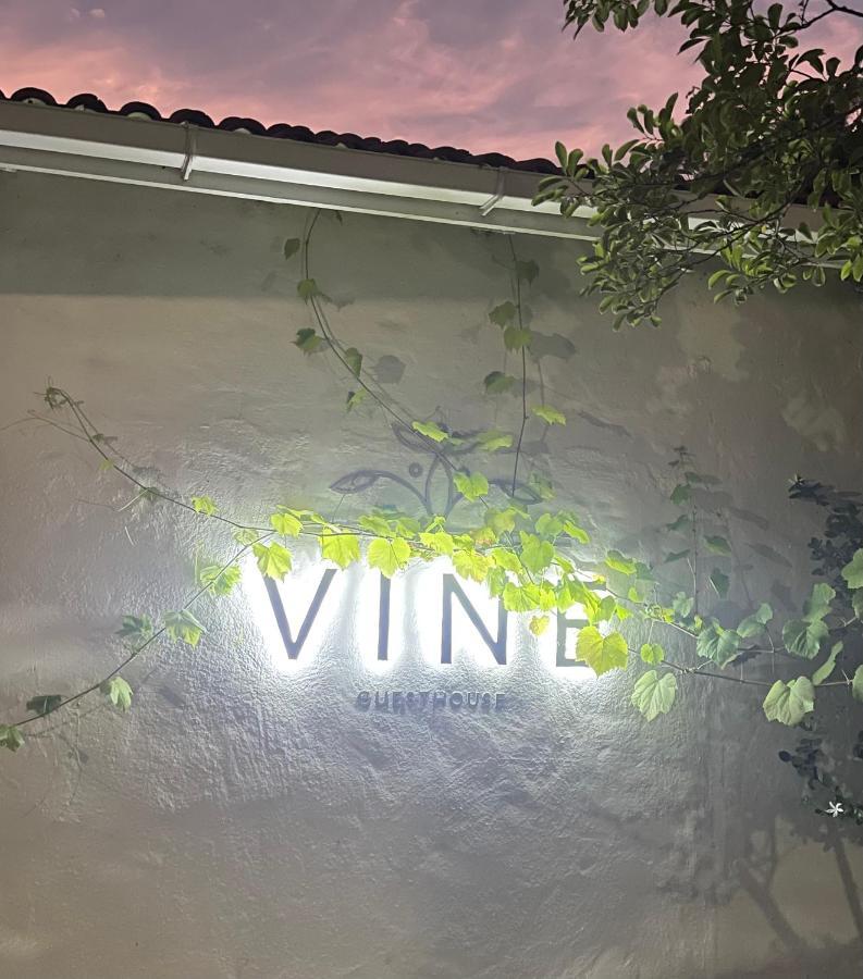 Vine Guesthouse Stellenbosch Buitenkant foto