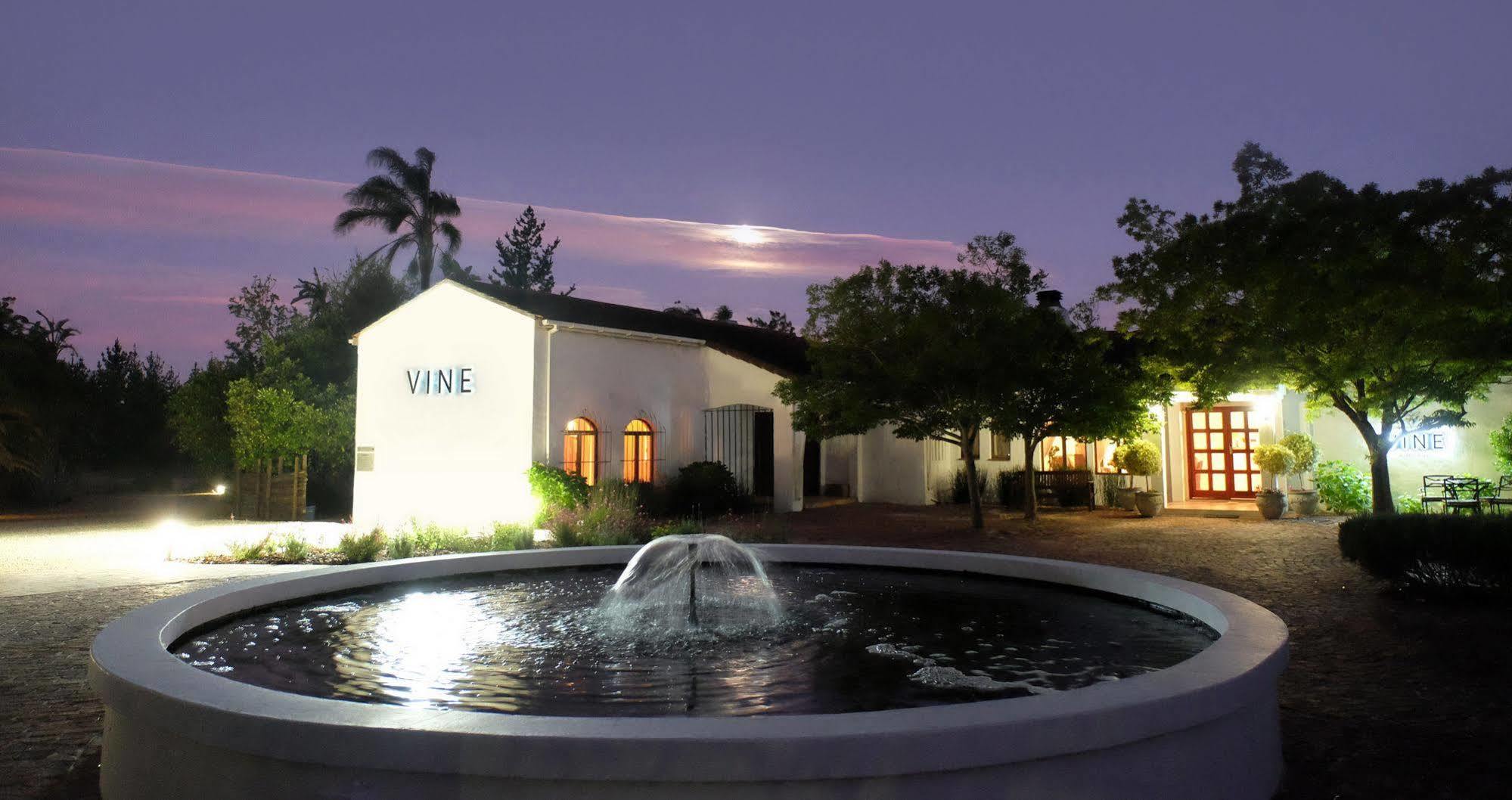 Vine Guesthouse Stellenbosch Buitenkant foto